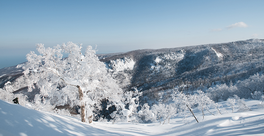 北海道屈指の降雪量と上質なパウダースノー