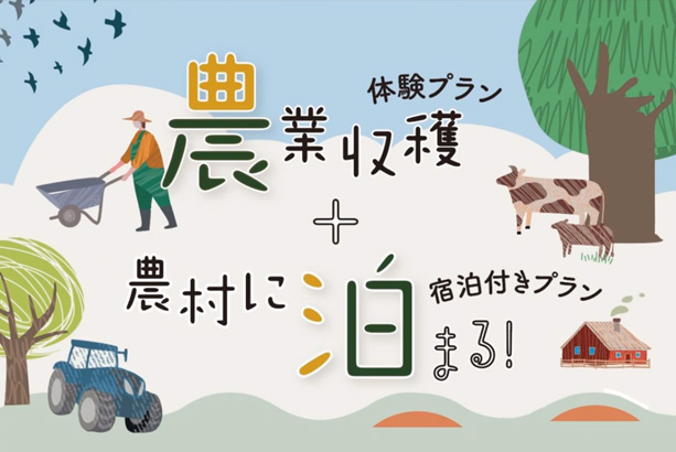 大地の恵みをまるごといただこう!赤井川村で農業収穫&宿泊体験