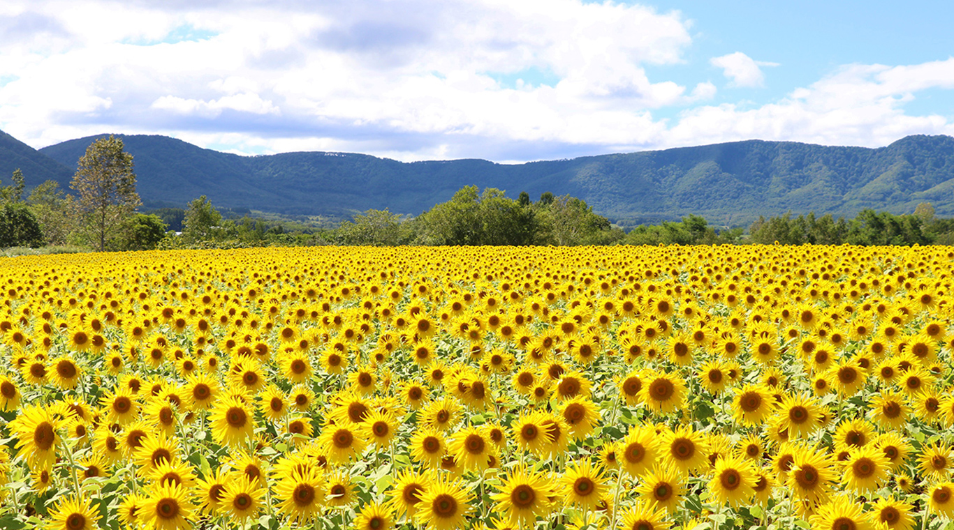 カルデラの里 AKAIGAWA